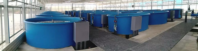 Weißer Teich-Filter-Abwasserbehandlung des beweglichen Bett-K3 2
